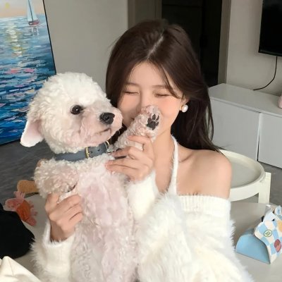 小蝌蚪找妈妈海报